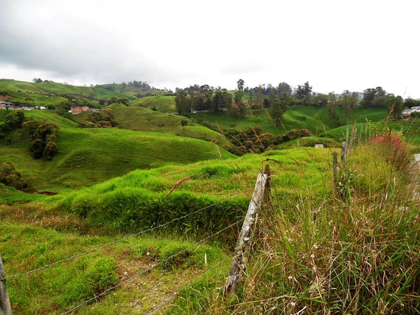 Beautiful Shot Green Landscape Gloomy Day — 图库照片