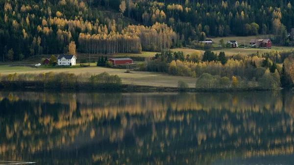 Paisaje Otoñal Con Casas Rurales Costa Del Lago Kroderen Noruega — Foto de Stock