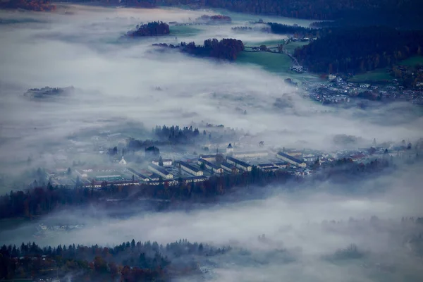 Прекрасний Знімок Будівель Дерев Вкритих Туманом Похмурий День — стокове фото