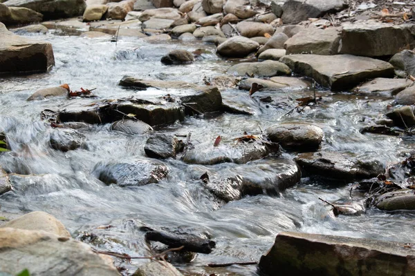 Closeup Shot Rocks River Stream — Zdjęcie stockowe