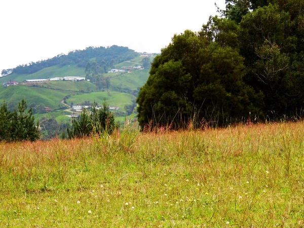 Beautiful Shot Green Landscape Gloomy Day — Φωτογραφία Αρχείου