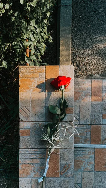 外面的石头上有一朵红玫瑰的垂直拍 — 图库照片