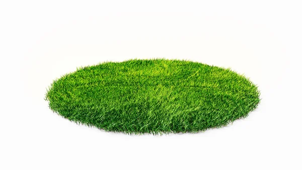 Circle Green Grass Isolated White Background — Stock fotografie