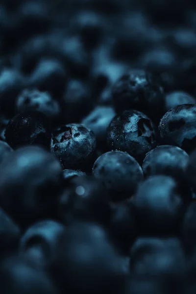 Closeup Shot Fresh Blueberries — Stock Photo, Image
