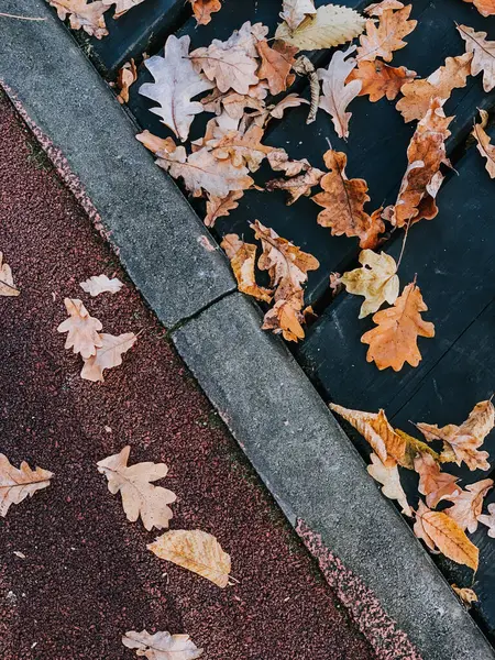 Вертикальный Снимок Осенних Листьев Земле — стоковое фото