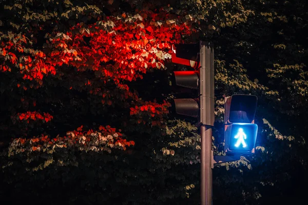Traffic Light Pole Green Light Outdoors Traffic Control Evening — Fotografia de Stock