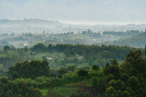 Uganda Daki Kraliçe Elizabeth Parkının Hava Görüntüsü — Stok fotoğraf