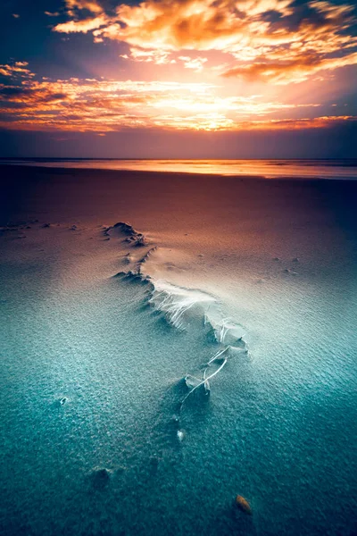 在立陶宛波罗的海沿岸 美丽的橙色落日的垂直镜头闪烁着光芒 — 图库照片