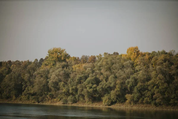 Jasny Letni Dzień Plaży Bujną Zielenią Otaczającą Piękną Wodę — Zdjęcie stockowe