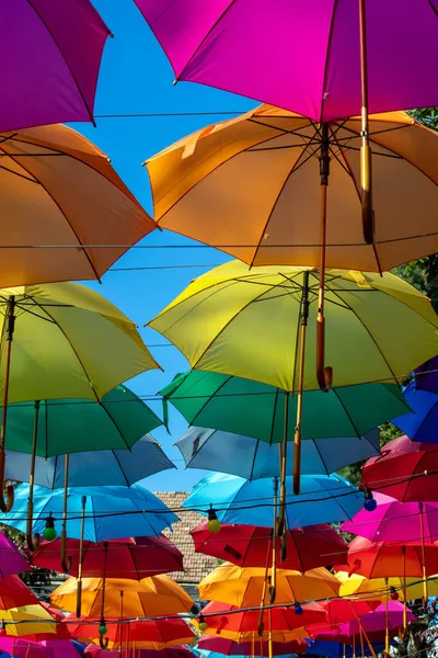 Ein Schöner Blick Auf Viele Bunte Regenschirme Die Park Mit — Stockfoto