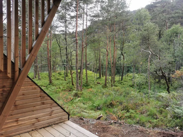 View Green Forest Wooden Cottage — Stockfoto