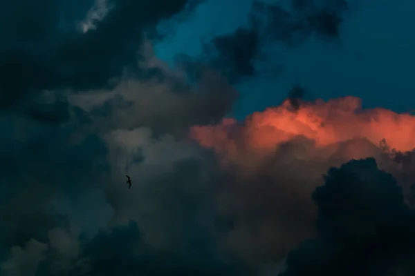 Una Vista Ipnotizzante Nuvole Parzialmente Colorate Tramonto Con Uccello — Foto Stock