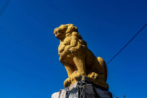 Skopje Macedonia Octubre 2021 Disparo Ángulo Bajo Una Estatua León — Foto de Stock