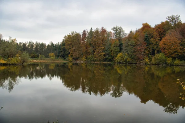 Beautiful Scenery Big Forest Colors Autumn Season Lake — Stock fotografie