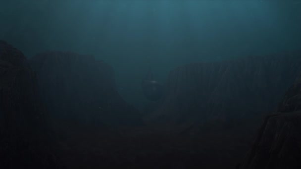 Vista Submarina Hermoso Mar — Vídeos de Stock