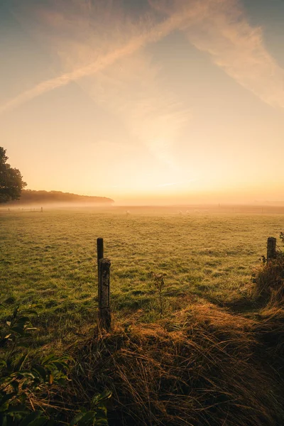 Vertical Shot Beautiful Sunrise Field Mirns Friesland Netherlands — Stock Photo, Image