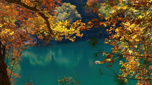 Hermoso Lago Otoño Con Hojas Árboles Colores — Foto de Stock