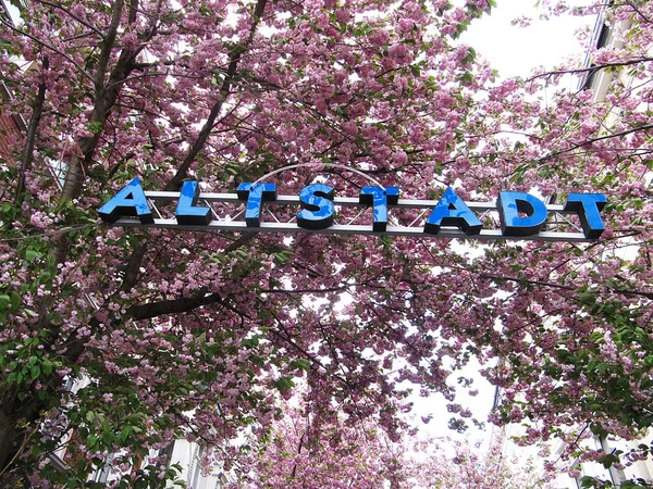 Una Foto Bajo Ángulo Letras Azules Deletreando Palabra Altstadt Contra —  Fotos de Stock
