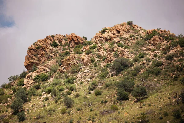 Vacker Bild Granit Outcropping Ett Berg Med Små Växter Och — Stockfoto