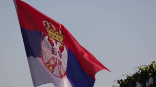 Bandera Nacional Serbia Ondeando — Vídeos de Stock