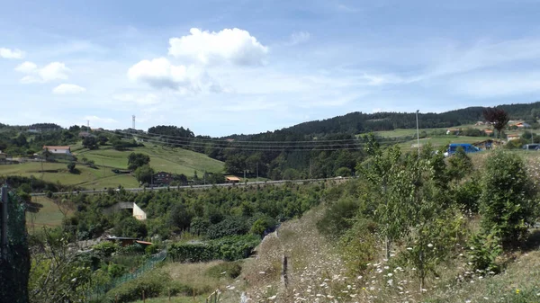 Paesaggio Rurale Con Case Piante Una Giornata Sole — Foto Stock