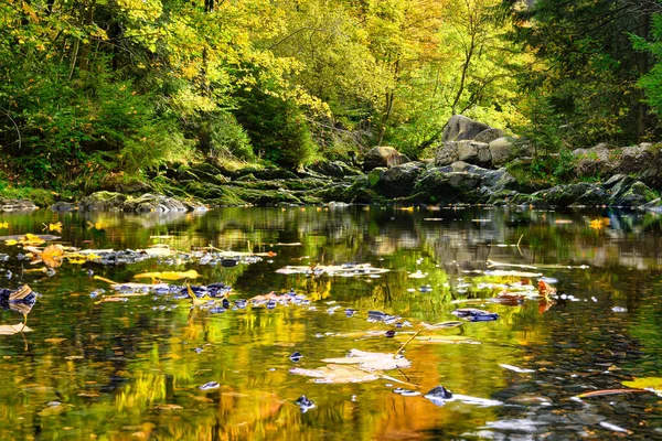 Peaceful Scene River Bed Engagement Island Oker Harz Mountains Autumn — Foto de Stock