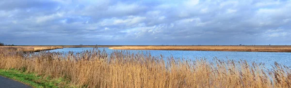 Pemandangan Taman Nasional Oostvaardersplassen Belanda Dari Sisi Selatan Sinar Matahari — Stok Foto