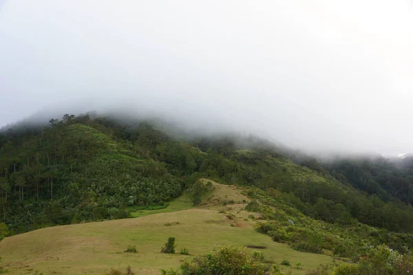 霧の日に緑の丘の魅惑的なシーン — ストック写真