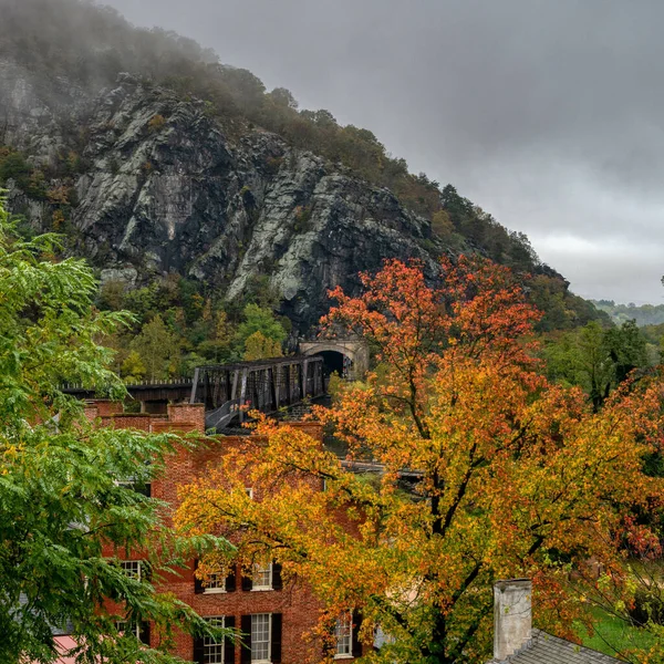 Een Plein Shot Van Een Berg Herfst Bij Mistig Weer — Stockfoto