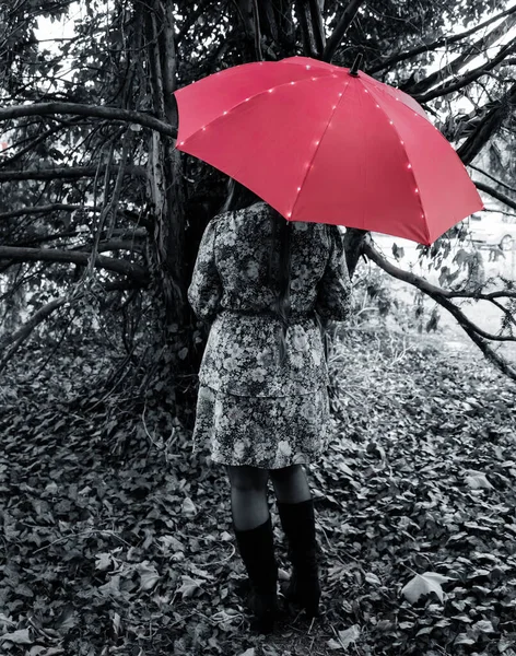 Egy Függőleges Felvétel Egy Fiatal Kaukázusi Nőről Aki Esernyővel Pózol — Stock Fotó