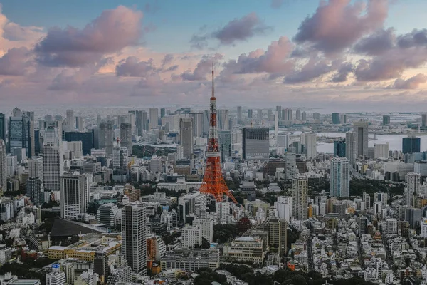 Het Stadsgezicht Van Tokyounder Bewolkte Lucht Japan — Stockfoto