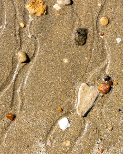 Pionowe Ujęcie Kamyków Muszli Piasku Plaży — Zdjęcie stockowe