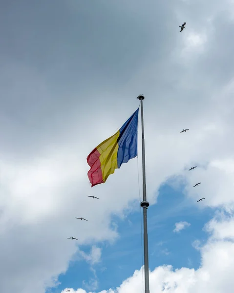 Vertikální Záběr Vlajky Ukrajiny Mávající Pozadí Oblohy Vznášejícími Ptáky — Stock fotografie