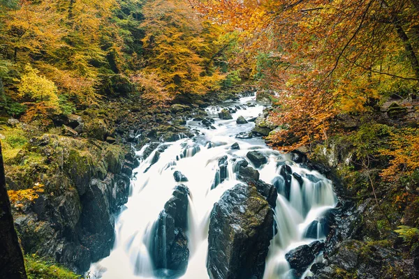 Прекрасный Вид Водопад Осенние Красочные Деревья Вокруг — стоковое фото