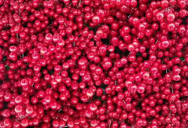 Horizontal Backgroudn Fresh Shiny Cranberries — Stock Photo, Image