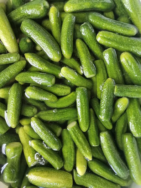 Gros Plan Cornichons Verts Dans Eau — Photo