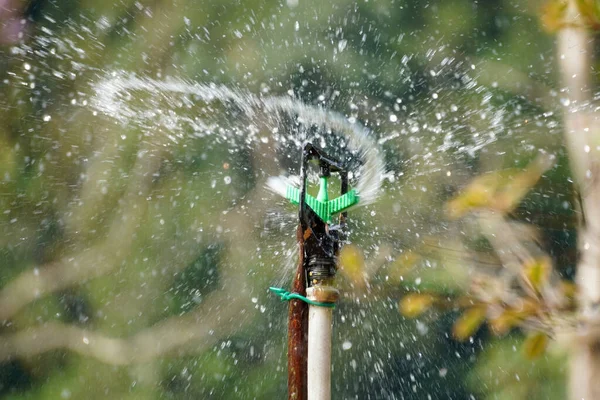 Eine Nahaufnahme Des Wasserspritzens Garten — Stockfoto