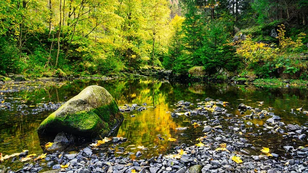 Autumn Landscape Oker River Engagement Island Harz Mountains Germany — Stock fotografie