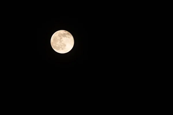 밤하늘 보름달이 매혹적 — 스톡 사진
