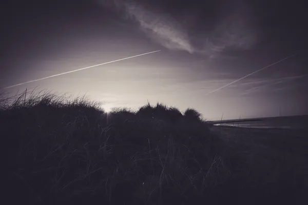 Ein Dunkelvioletter Abendhimmel Mit Grassilhouette Vordergrund — Stockfoto