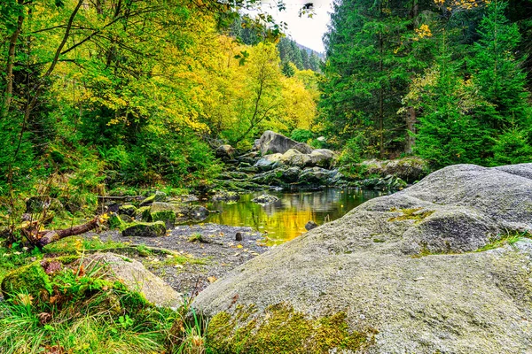 Autumn Foliage Large Stones Engagement Island Oker River Harz Mountains — Stock fotografie