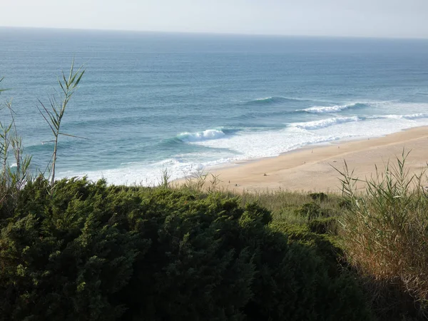 Beautiful Peaceful Scene Sandy Beach Atlantic Coast Nazare Portugal — Foto de Stock