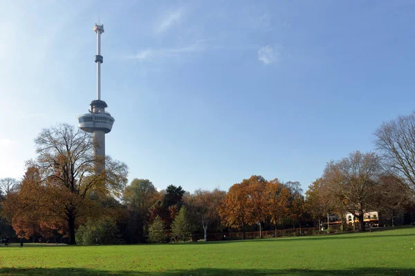 Rotterdam Niederlande Euromast Einem Park Mit Herbstlichen Farben — Stockfoto