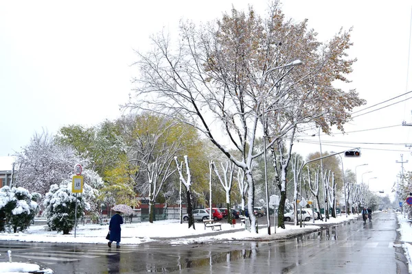 Listopadový Sníh Listopadu 2013 Městě Napadl Sníh Pokryl Stromy Ulicích — Stock fotografie