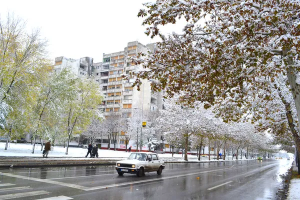 Zrenjanin Serbia 2013年11月27日 11月の雪2013年11月27日 雪が街中に降り 街路樹を覆いました ズレンジャニン セルビア ヴォイヴォディナ — ストック写真