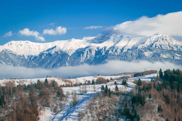 その下には山と森の美しい冬の景色 — ストック写真