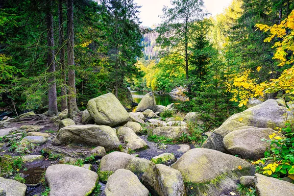 Scenic Landscape Rough Boulders Oker River Bed Engagement Island Germany — стоковое фото