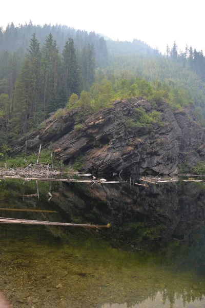 Vertikal Sho Bränder Som Ödelägger Skogarna Den Tre Valley Lake — Stockfoto