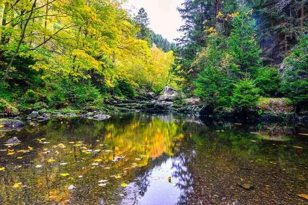 Scenic Autumn Landscape Reflecting Oker River Water Surface Engagement Island — Foto de Stock