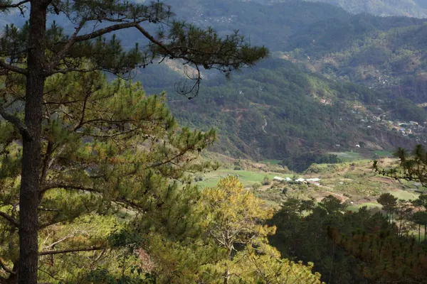 Eine Schöne Landschaft Eines Berges Der Mit Grün Bedeckt Ist — Stockfoto